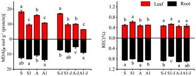 Effects of Organic Polymer Compound Material on K+ and Na+ Distribution and Physiological Characteristics of Cotton Under Saline and Alkaline Stresses